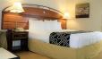 Monte Carlo Inn- Near Disney image 52