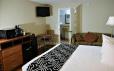 Monte Carlo Inn- Near Disney image 81